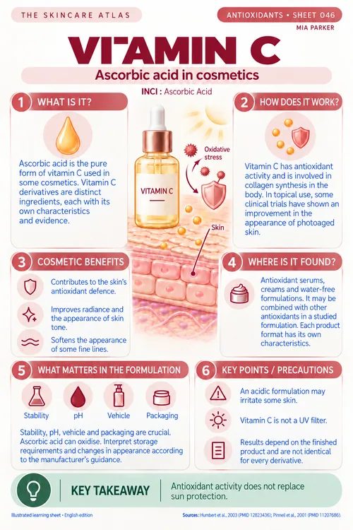 Preview of the Vitamin C sheet